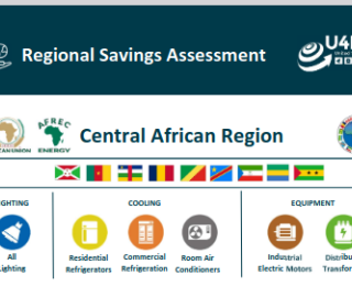 Central Africa Regional Savings Assessment