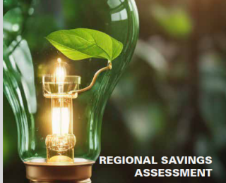 Regional Savings Assessment West African Region
